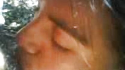 उड़ाने और मैक्सिकन निगल