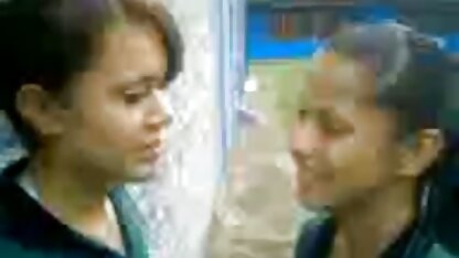 2 छोटे डोमिनिकन कुतिया